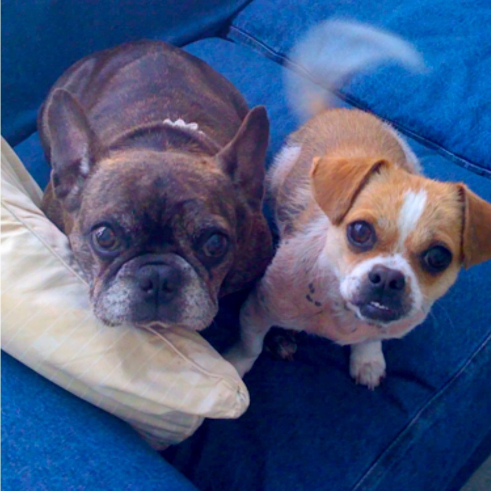 Meet your Posher, Jennifer